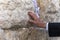 Hand of praying man on the Western Wall in Jerusalem. An old elderly touches a sacred stone in prayer. Traditional rite for