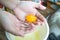 Hand prepare egg yolk