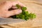 Hand preparing parsley for chopping