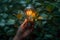 Hand presenting a lightbulb in green foliage background