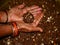 hand presenting sweet jaggery on hand, dry fruit ingredients traditional food