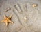 Hand prints in the sand