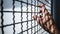 Hand of prisoner holding rustic metal fence with pattern shadow, criminal locked in jail