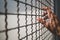 Hand of prisoner holding rustic metal fence with pattern shadow, criminal locked in jail