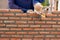 Hand of professional construction worker laying bricks In wall construction, construction and masonry concept