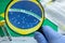 Hand in a protective glove holding a magnifying glass over the flag of Brazil, Coronavirus tubes, anti-virus masks. The concept of