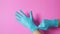 Hand is pulling blue latex gloves or doctor gloves  on pink background