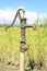 Hand pump leading to an artesian well.