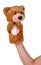 Hand puppet of bear