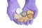 Hand in Purple Glove holds Bitcoins Crypto Currency.Mining concept.