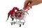 Hand pushing a small shopping cart with christmas flower, poinsettia and a decorative ball