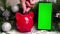 Hand puts coins in a red piggy bank, next to a smartphone with a green blank screen, Christmas fir