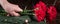 Hand puts red flowers on a military uniform, close-up