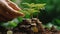 Hand putting coins with plant growing on coin stack over green blurred background. Business finance strategy, money