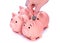 Hand putting coins to smiling piggi bank. Four pink piggy banks isolated against white background