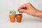 Hand putting money coins in a terracotta pot