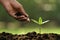 Hand putting soil around young plant on nature background