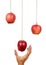 Hand reach to grab the hanging apple.