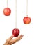 Hand reach to grab the hanging apple.