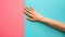A hand reaching out to touch a pink and blue wall, AI