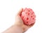 Hand with red bathing sponge isolated over the white background