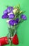 Hand in a red boxing glove holding a bouquet of flowers