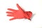 Hand in red glove on white background, housekeeping and housework. Cleaning services