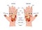 Hand reflexology chart