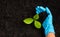 Hand of researcher woman holding compost fertile black soil