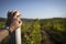 Hand resting on concrete pillar in the vineyard