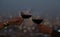 Hand of romantic couple or friendship which happy moment relaxing ,red,wineglass,celebration on the rooftop