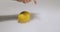 Hand rotate lemon fruit in water, natural citron on white studio backdrop, vitamins and healthy eating concept