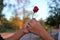 Hand`s of man is giving a red rose to a woman on special occasion on nature blurred background. Romantic lover dating or Valentin