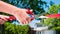 Hand with scissors cuts red ribbon in the background of new house