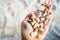 Hand with seashells on the background of the sea