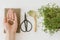 Hand with seeds, flax sprouts, linen mat, spoon and scissors on white wood. Growing microgreens