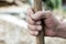 Hand of a senior farmer lies on a pole of an agricultural implement, weathered hand with wrinkles, fresh food concept