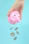 Hand shakes coins out of pink piggy bank, Falling Coins. The concept of saving money on shopping