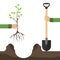 A hand with a shovel plants a tree seedling. The concept of planting a tree. One hand holds a shovel, the other holds a tree seedl
