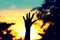 Hand sign silhouette with sunset background