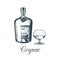 Hand sketched cognac bottle and glass. Vector illustration of brandy set. Vintage alcoholic drink menu design concept.