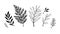 Hand sketched vector elements  laurels, leaves, branches. Wild and free. Floral design elements. Perfect for invitations,