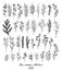 Hand sketched vector floral elements leaves, flowers, swirls a