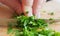 Hand sliced green chopped parsley on the table Kitchen interior