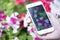 Hand smartphone shooting garden flowers