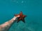 Hand of snorkeler holds starfish underwater with bubbles foreground. concept of vacation and travel