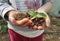 Hand soil plant  growing of zucchini protection affection