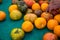 Hand sorting Orange, Yellow, Red, and Green Heirloom Tomatoes at the farmers market