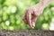 Hand sowing seeds in vegetable garden soil, close up on gree