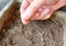 Hand sows seeds into the soil in a box. home gardening. growing vegetables. copy space, place for text